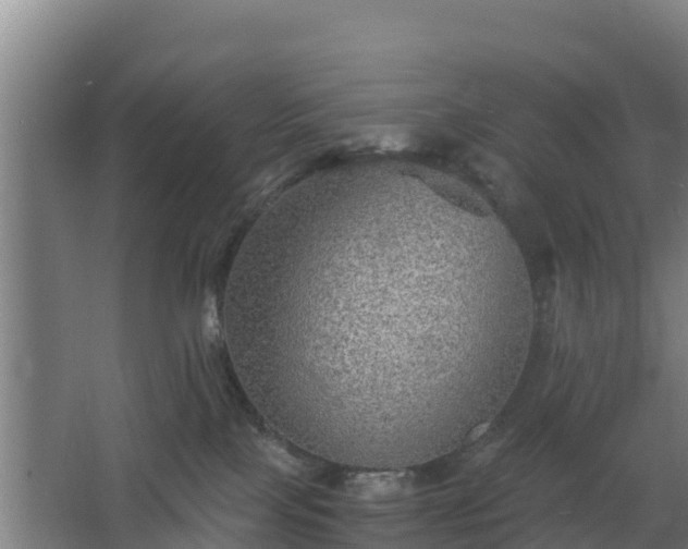 X0000068270089200604281603