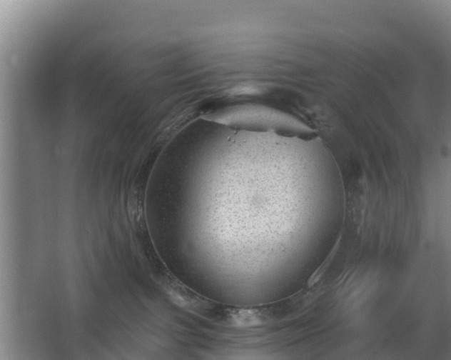 X0000068270091200604281603