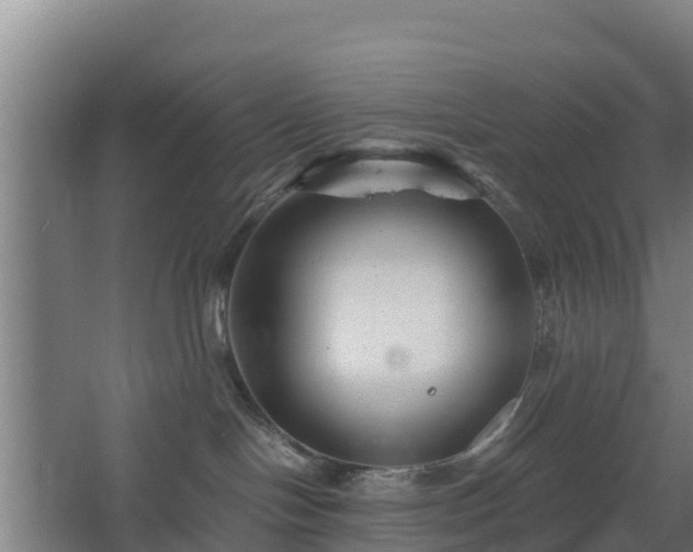 X0000068270094200604281603