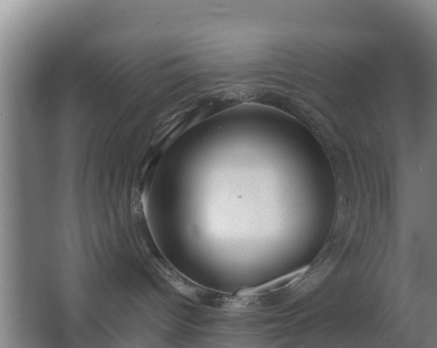 X0000068270096200604281603