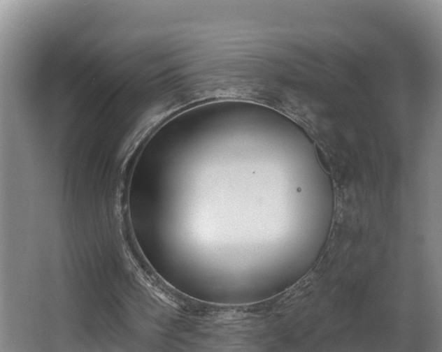 X0000068270098200604281602