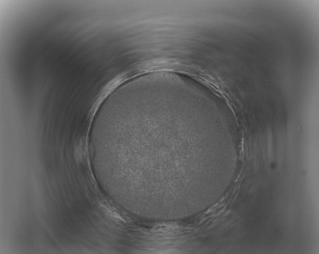 X0000068270099200604281602