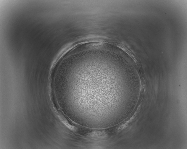 X0000068270101200604281602