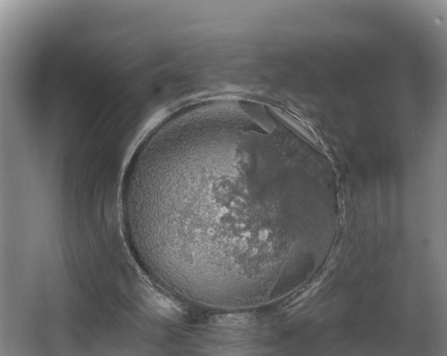 X0000068270102200604281602