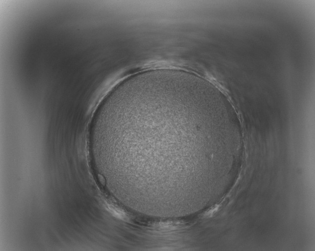 X0000068270103200604281602