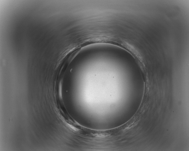 X0000068270105200604281602