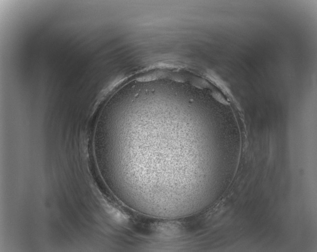 X0000068270106200604281602