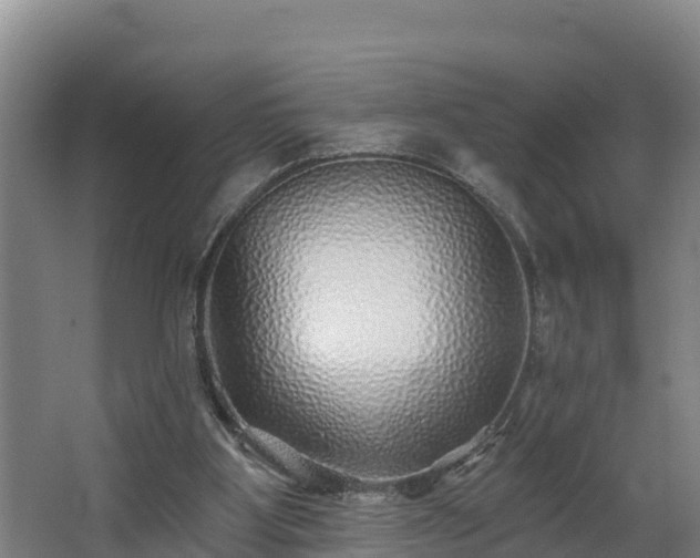 X0000068270107200604281602