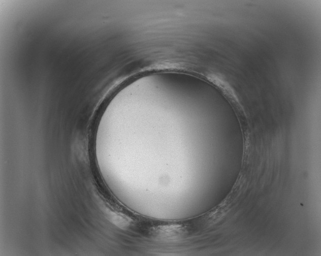 X0000068270108200604281602