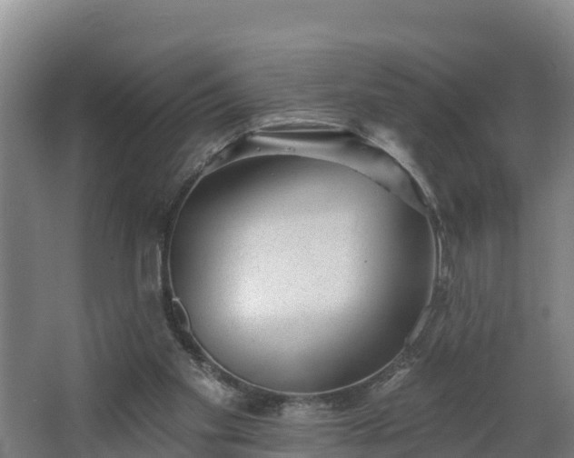 X0000068270109200604281602