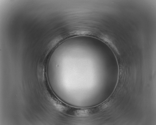 X0000068270110200604281602