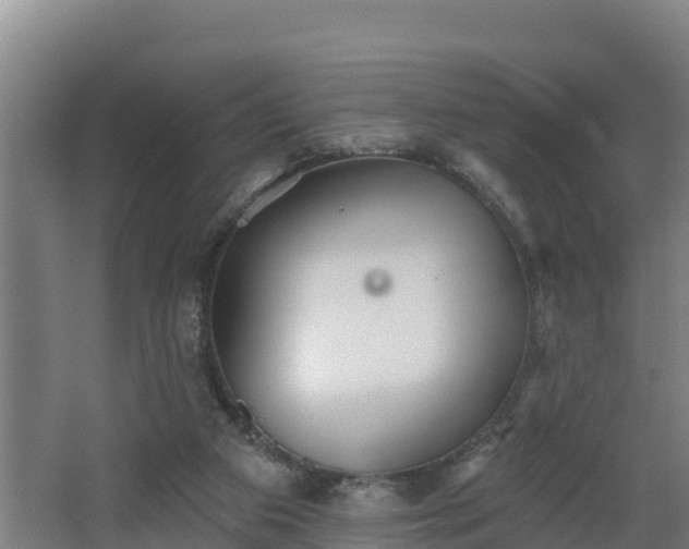 X0000068270113200604281602