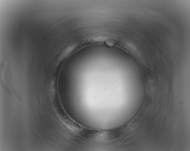 X0000068270116200604281602