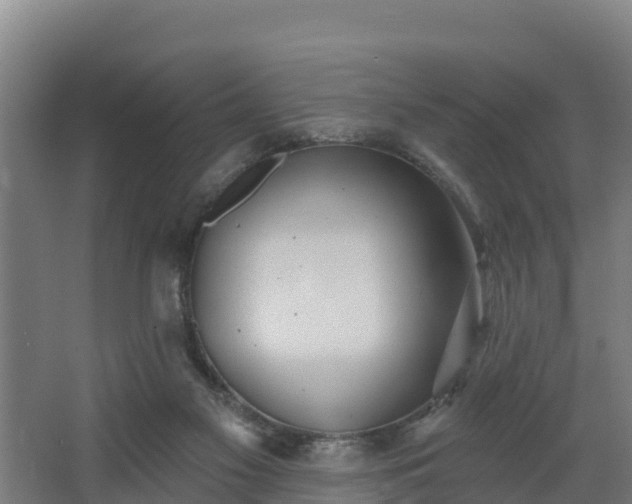 X0000068270117200604281602