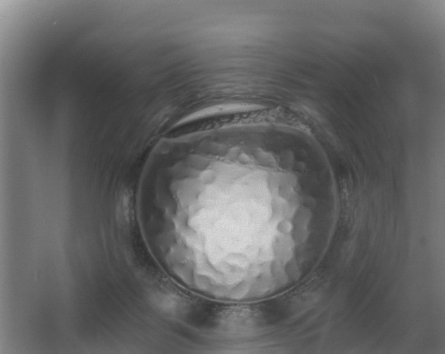 X0000068270123200604281601