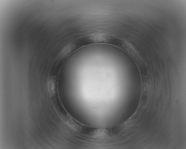 X0000068270124200604281601