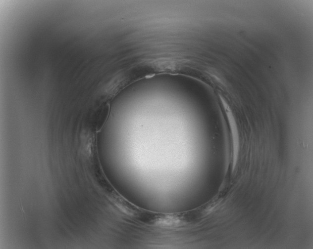 X0000068270125200604281601