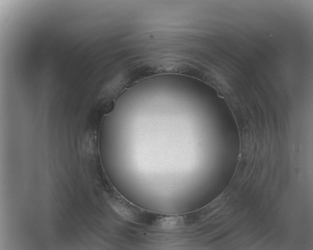 X0000068270126200604281601