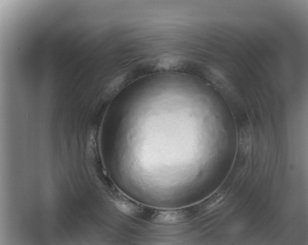 X0000068270127200604281601