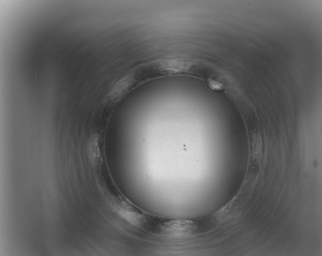 X0000068270128200604281601