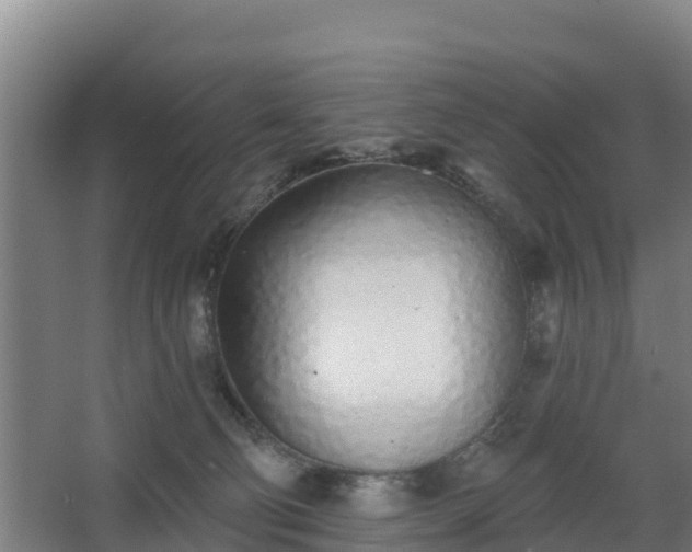 X0000068270130200604281601