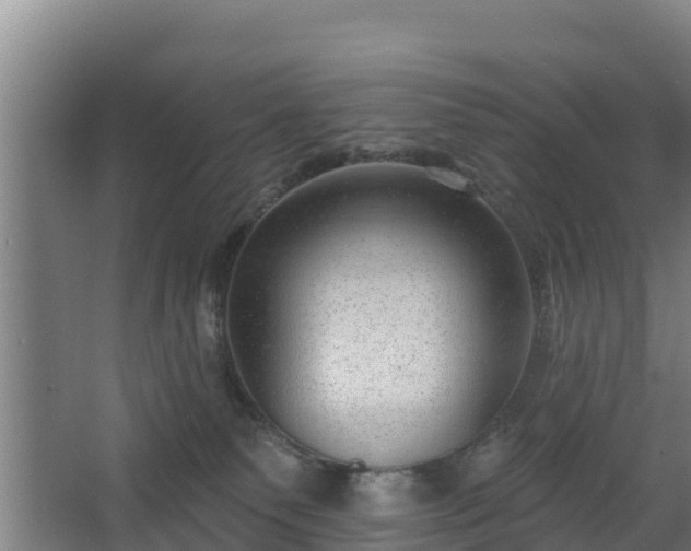 X0000068270135200604281601