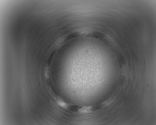 X0000068270138200604281601