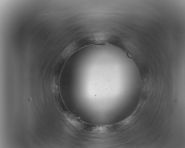 X0000068270140200604281601