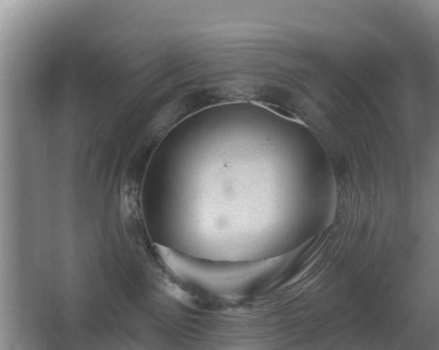 X0000068270141200604281601