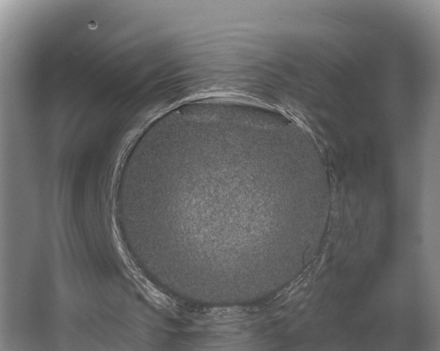 X0000068270145200604281600