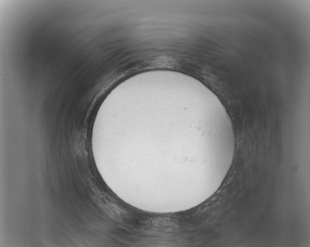 X0000068270146200604281600