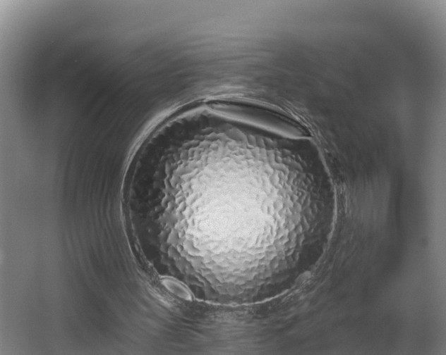 X0000068270147200604281600