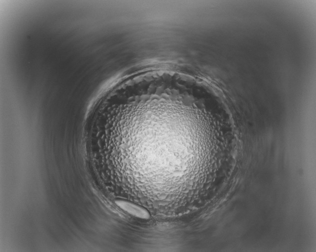 X0000068270149200604281600