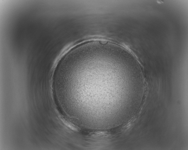 X0000068270151200604281600