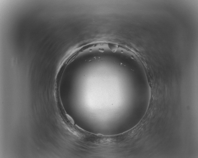 X0000068270152200604281600