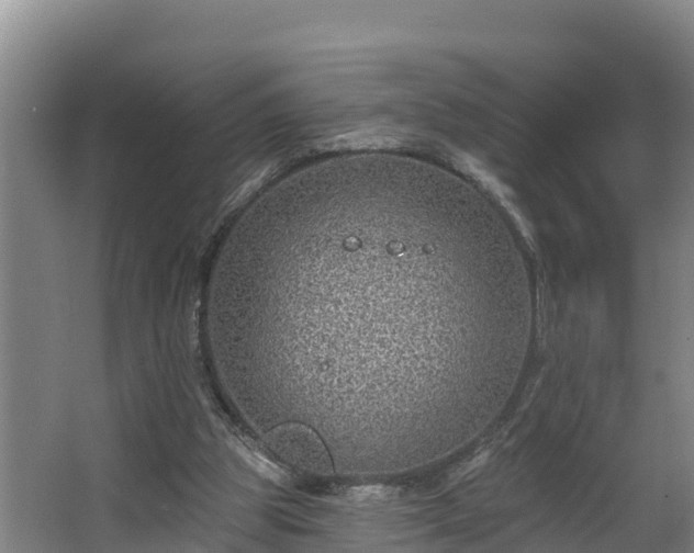 X0000068270153200604281600