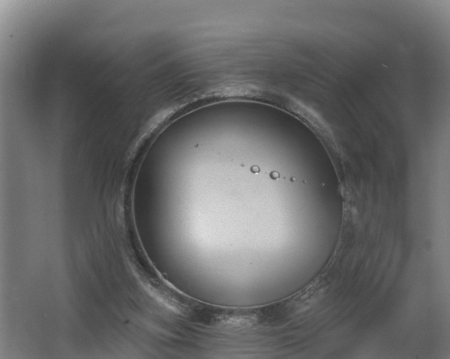 X0000068270155200604281600