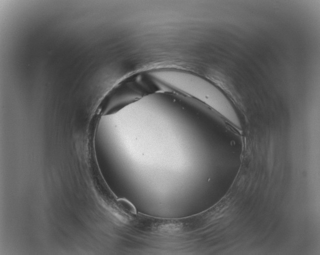 X0000068270156200604281600