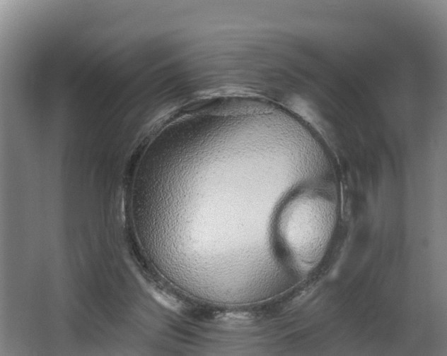 X0000068270157200604281600