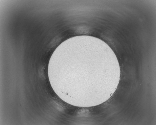 X0000068270162200604281601