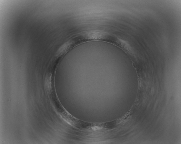 X0000068270163200604281601