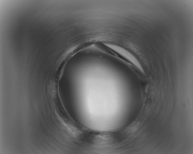 X0000068270164200604281601