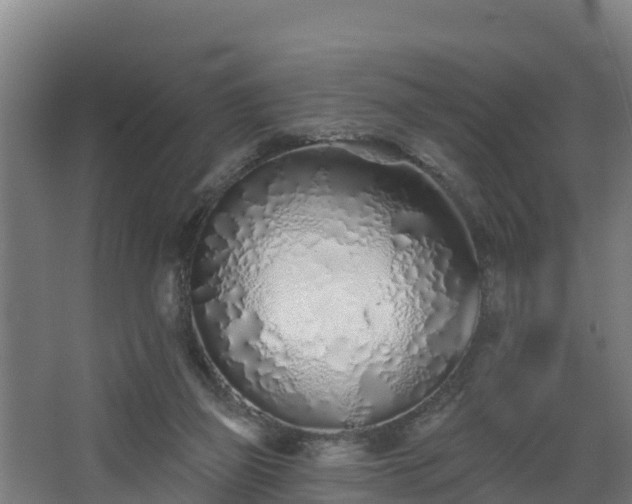 X0000068270165200604281601