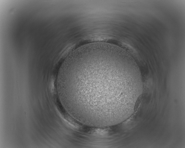 X0000068270166200604281601