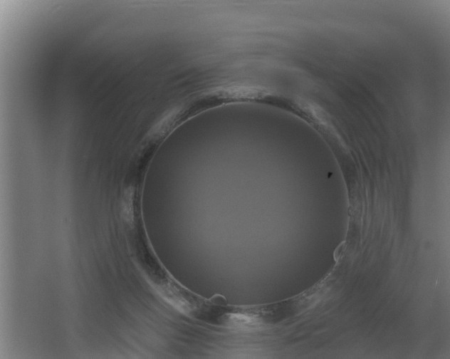 X0000068270167200604281601