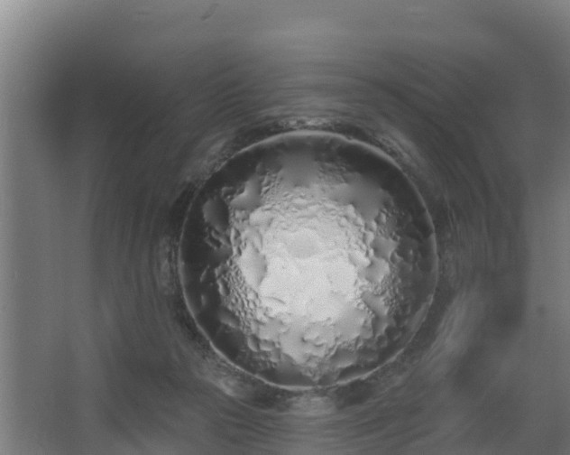 X0000068270169200604281601