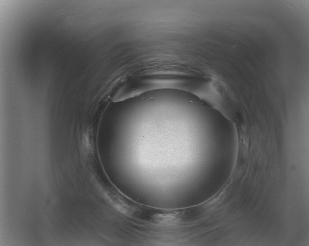 X0000068270170200604281601