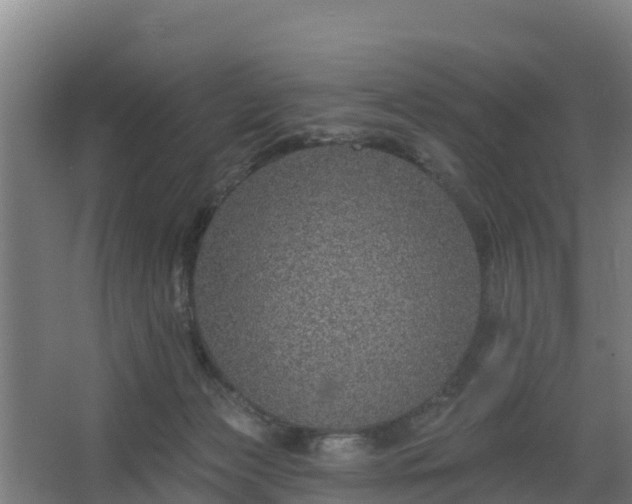 X0000068270173200604281601