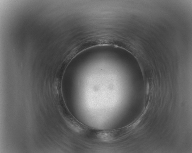 X0000068270174200604281601