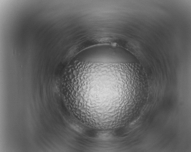 X0000068270175200604281601